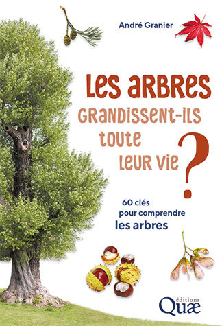 les arbres grandissent-ils toute leurs vie
