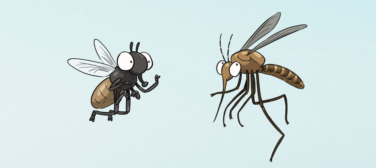 les-dypteres-font-mouche-couv