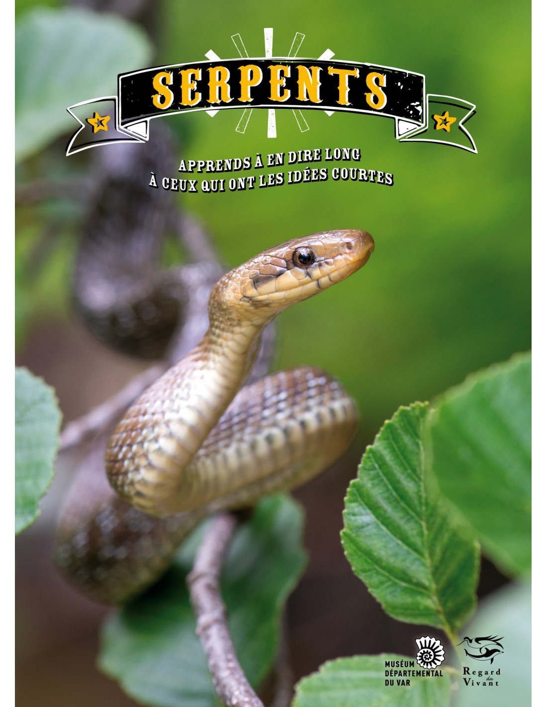 serpents