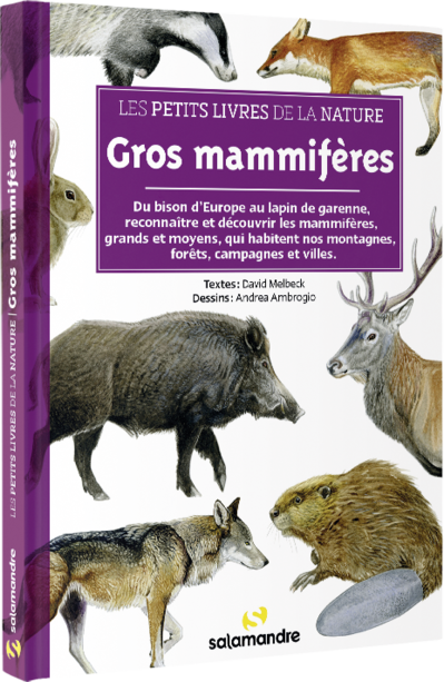 Gros mammifères