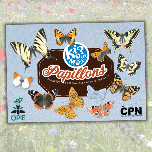 Kiquimank ? Papillons