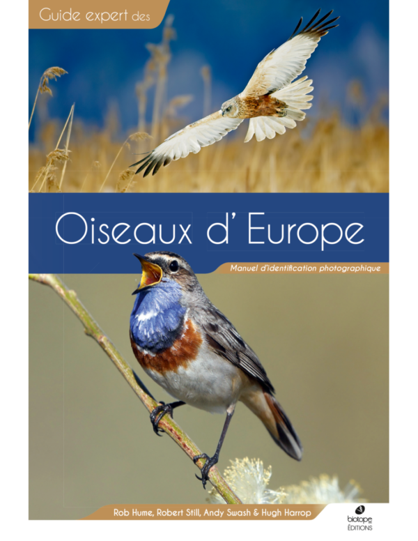 Oiseaux d'europe