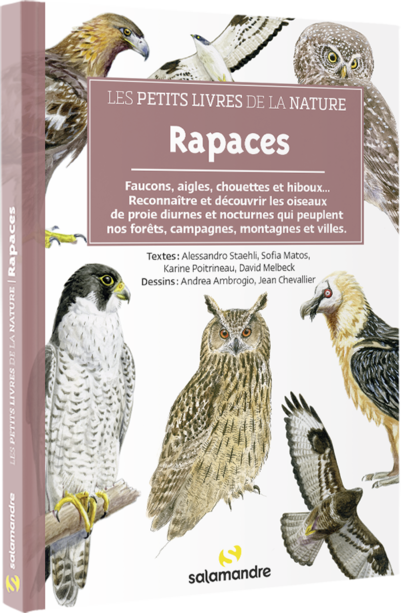 Rapaces