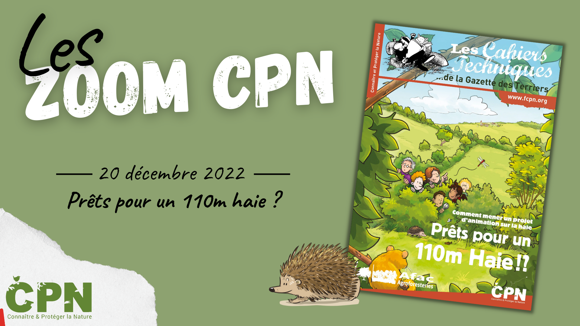 Zoom CT haie