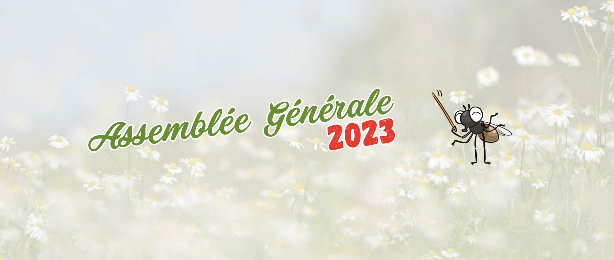 Assemblée générale