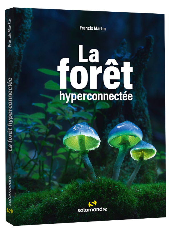 Couverture Forêt hyperconnectée