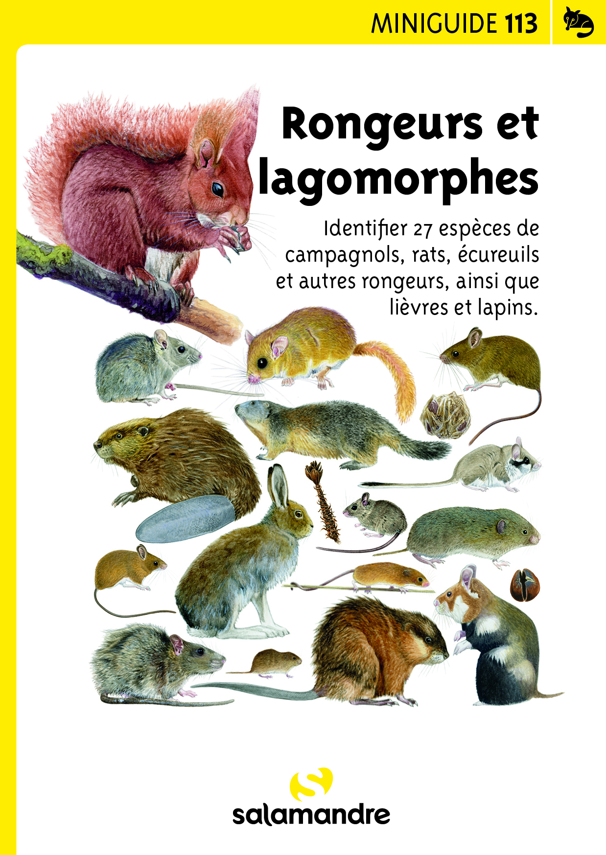 Rongeurs et lagomorphes