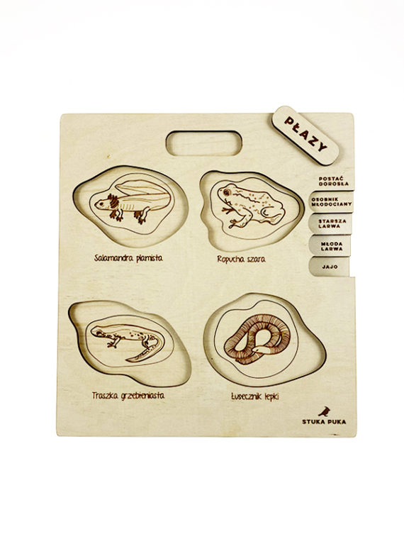 puzzle amphibien