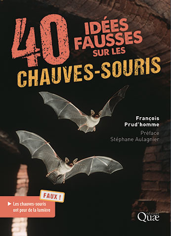 40 idées fausses sur les c-s