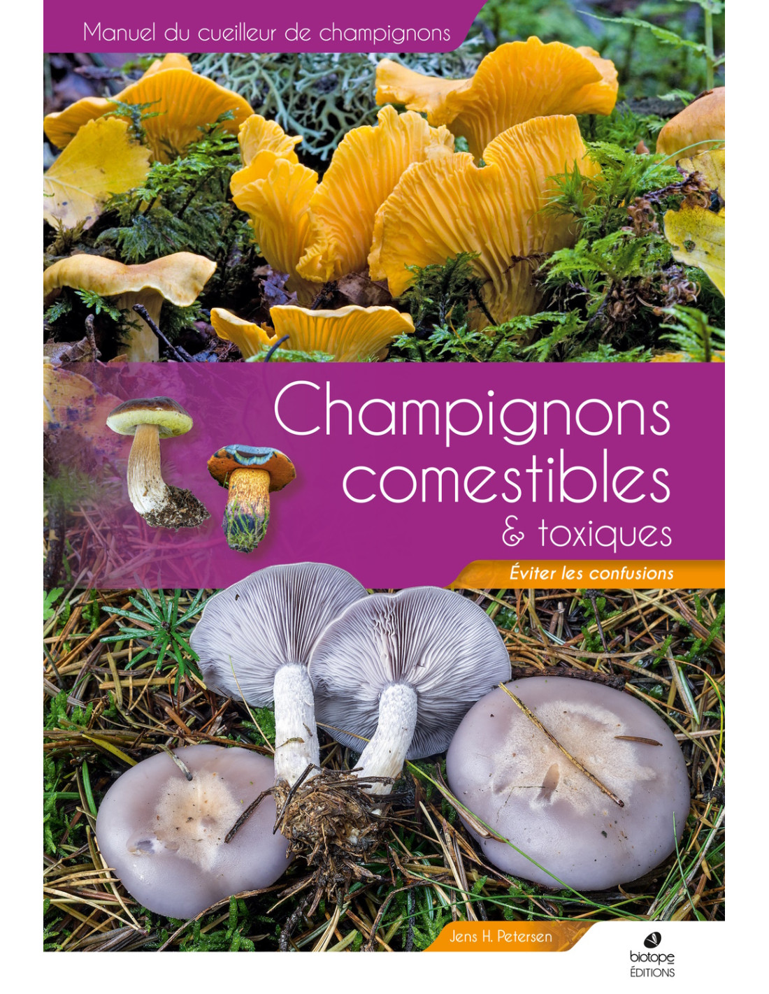 Champignons comestibles