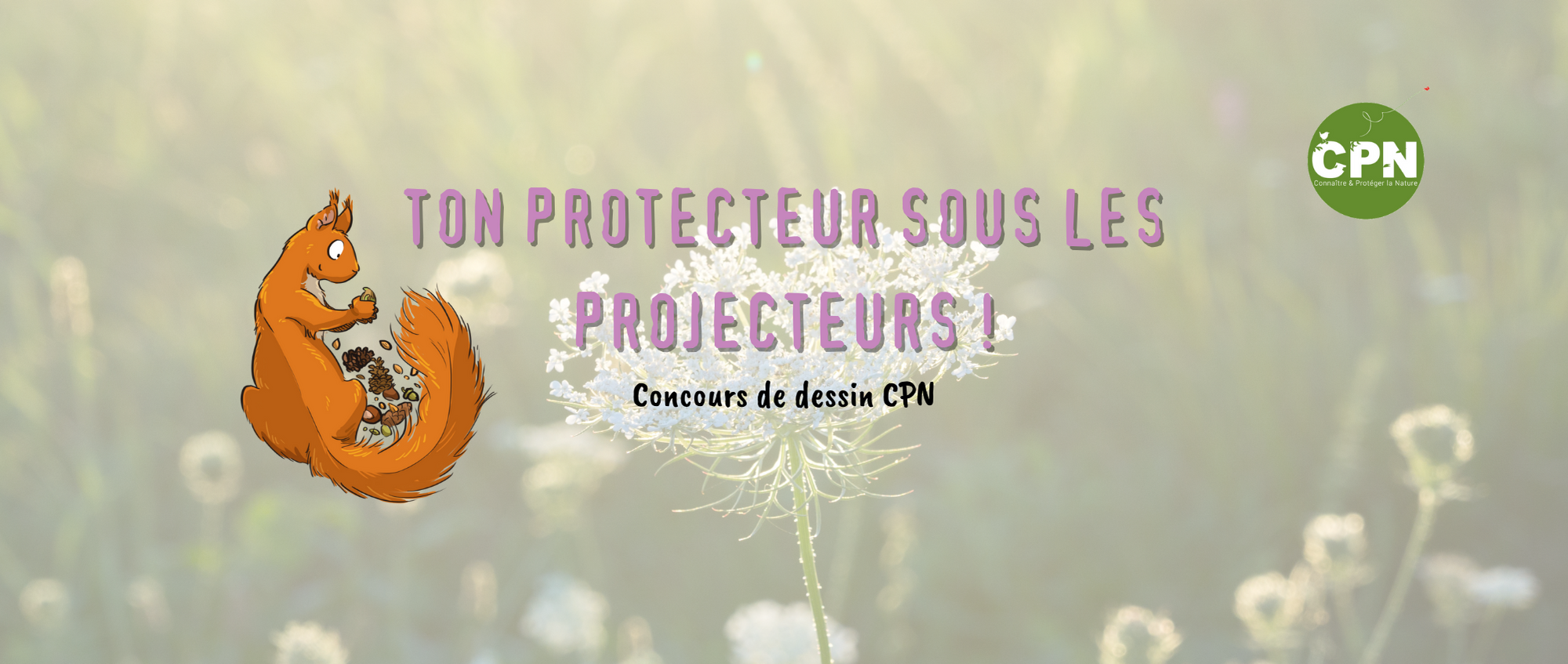 concours de dessin