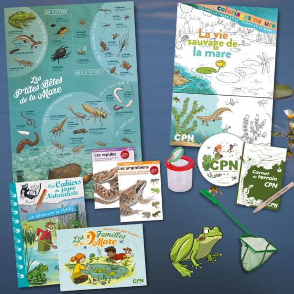 kit je découvre la mare