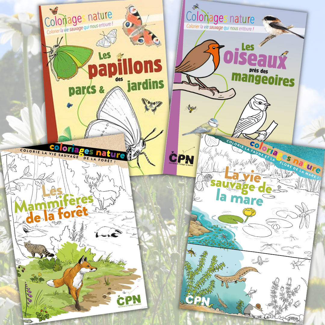 collection coloriages