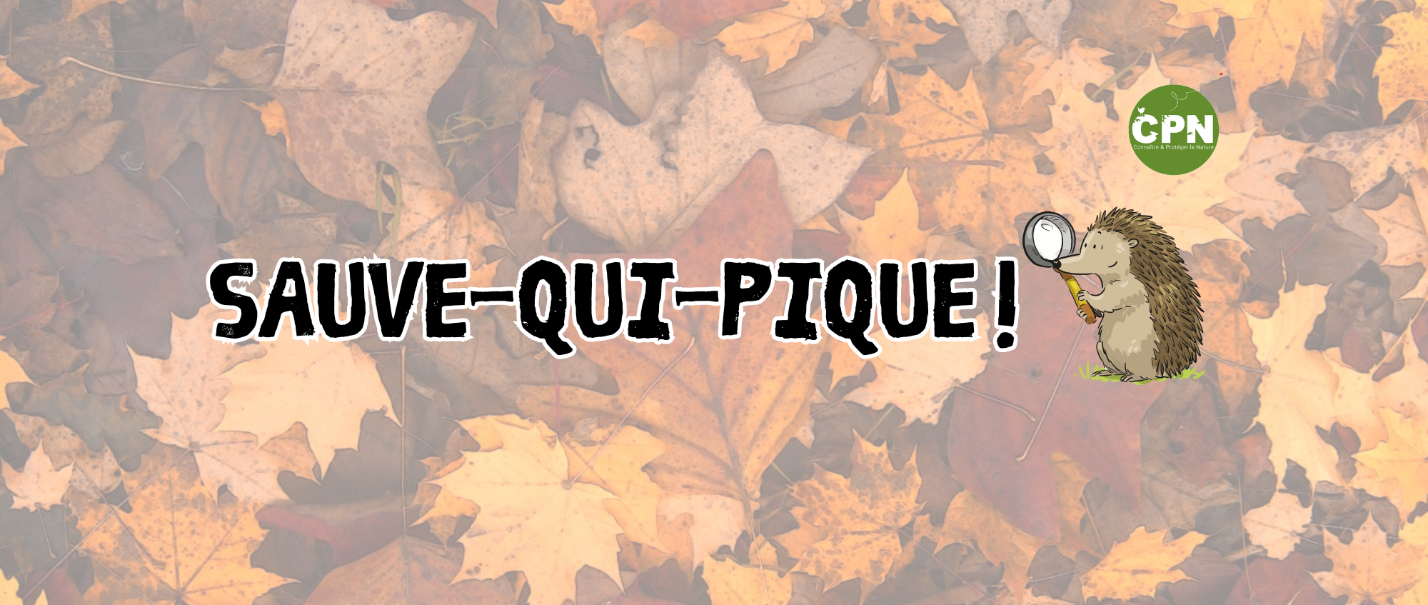 sauve qui pique (3)