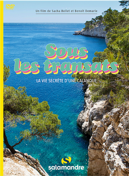 dvd-sous-les-transats-la-vie-secrète-d-une-calanque