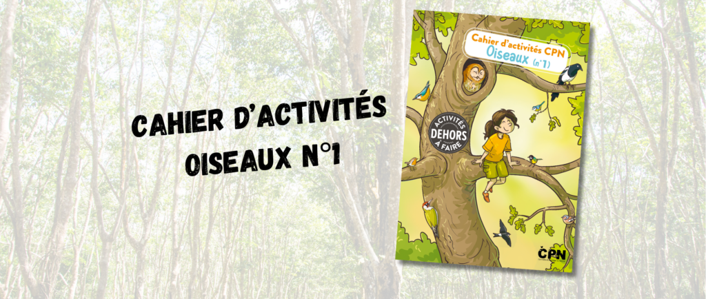 Cahier d'activités Oiseaux (1)