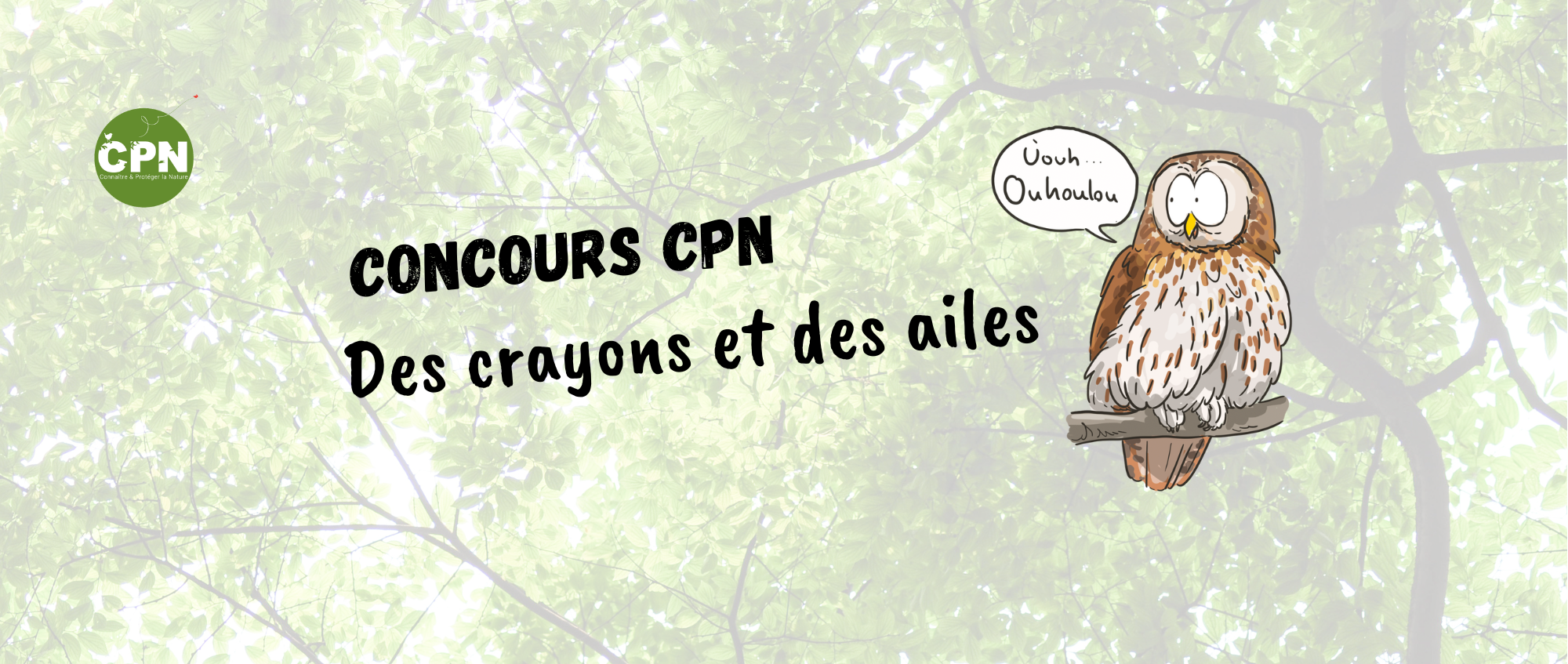concours des crayons et des ailes