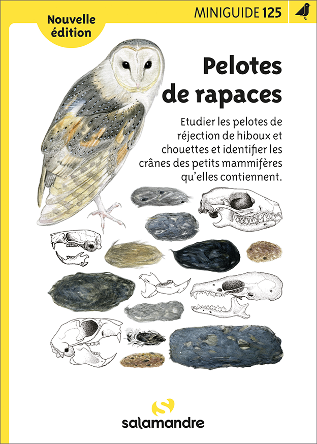 Pelotes de rapaces