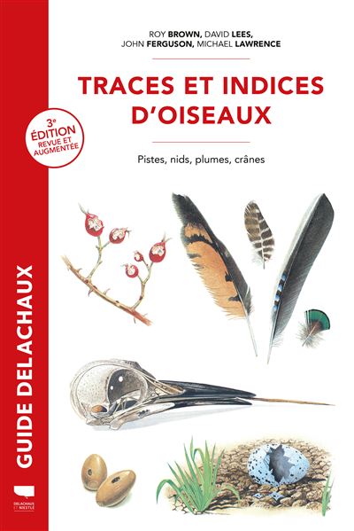 Traces-et-indices-d-oiseaux
