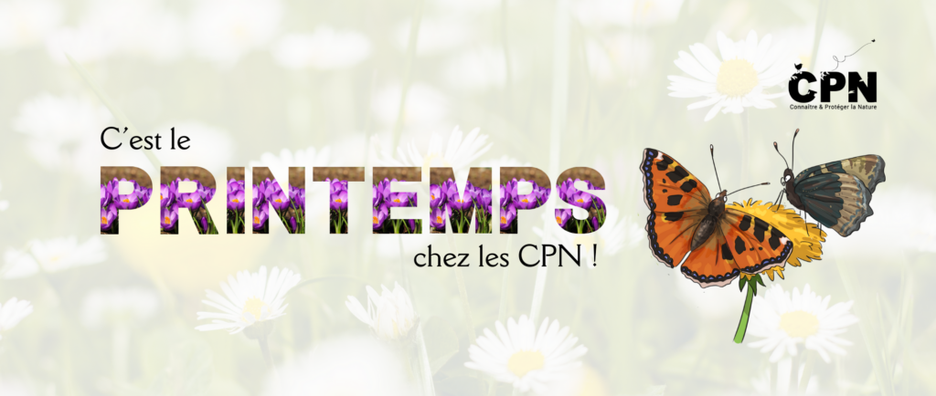 printemps cpn