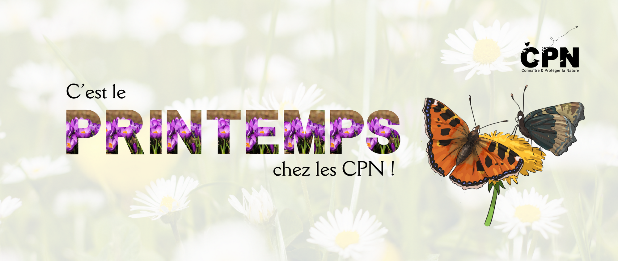 printemps cpn