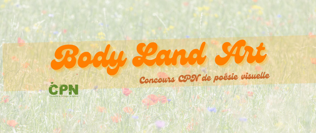Actu concours de body land art