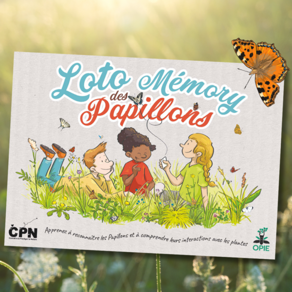 Loto-mémory des Papillons