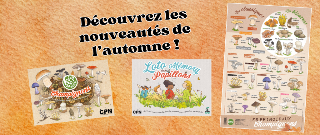 nouveautés (1)