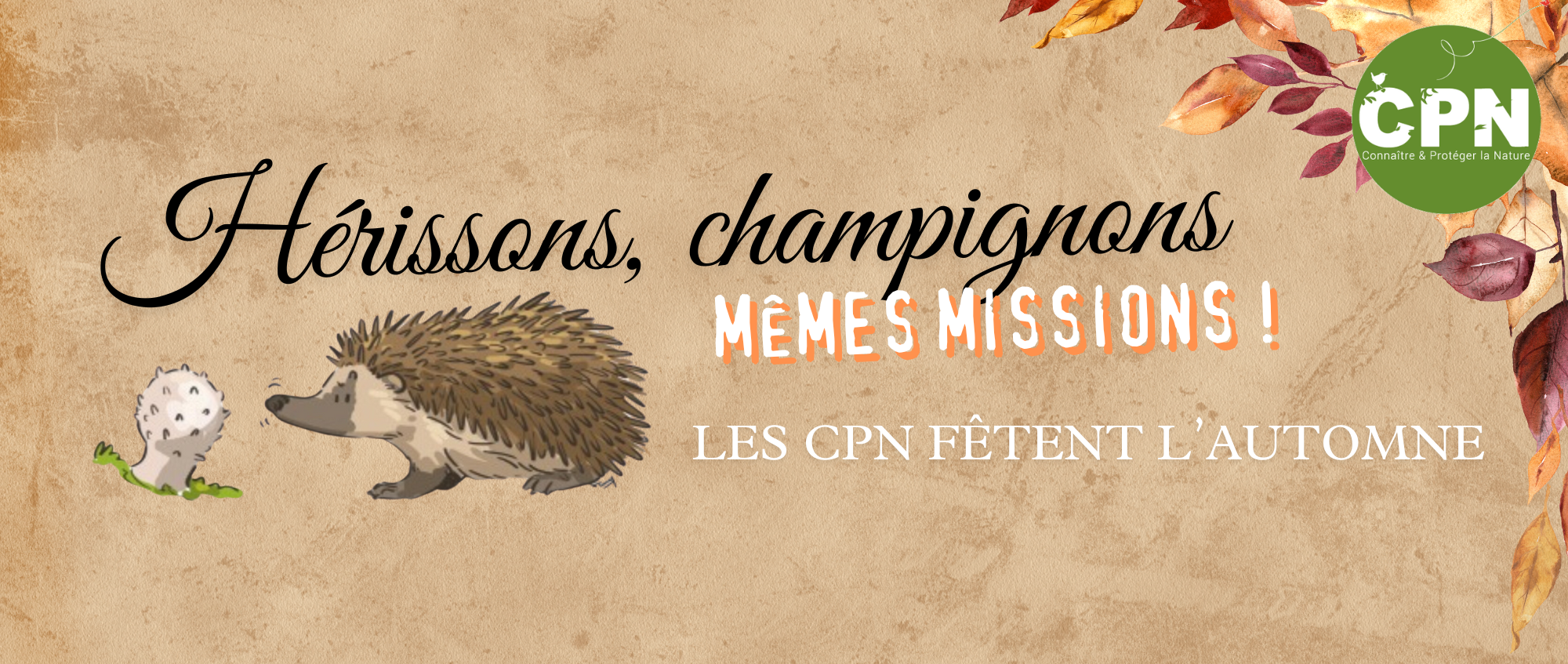 CPN fêtent l'automne