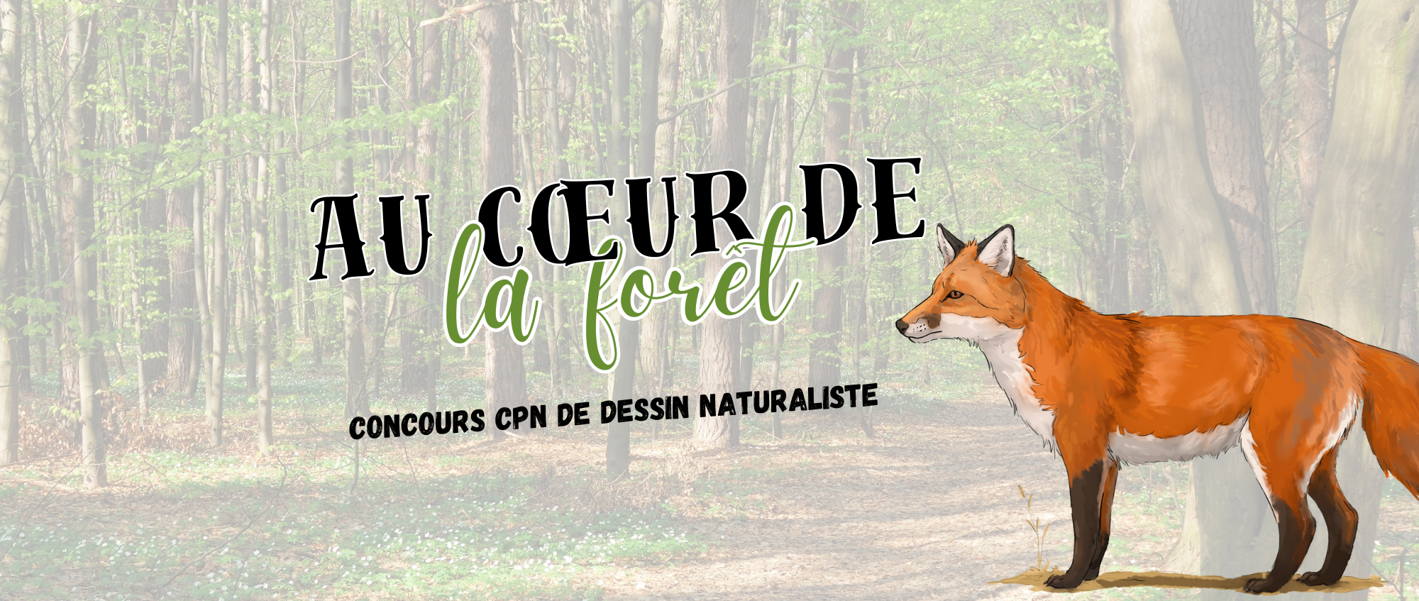 concours au coeur de la foret