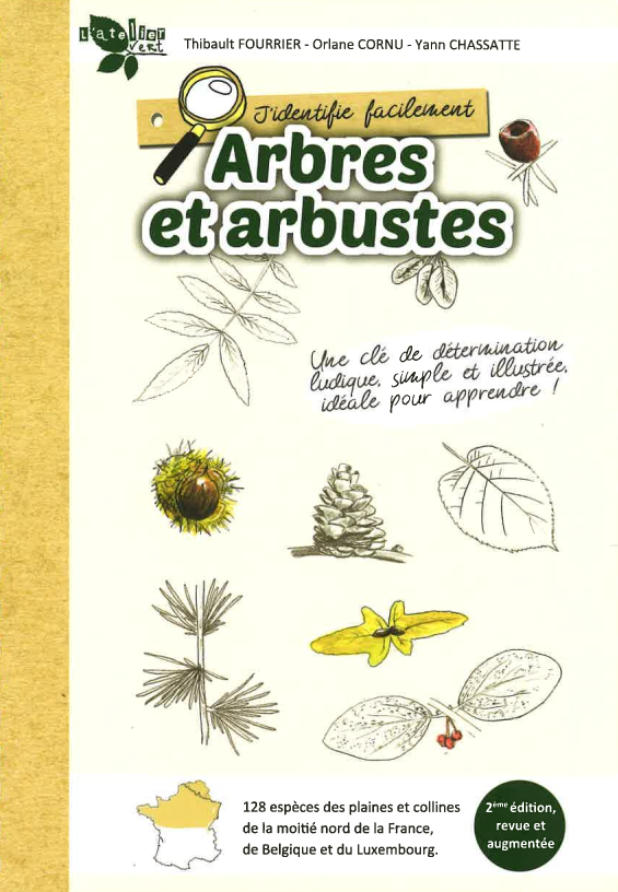 arbres et arbustes