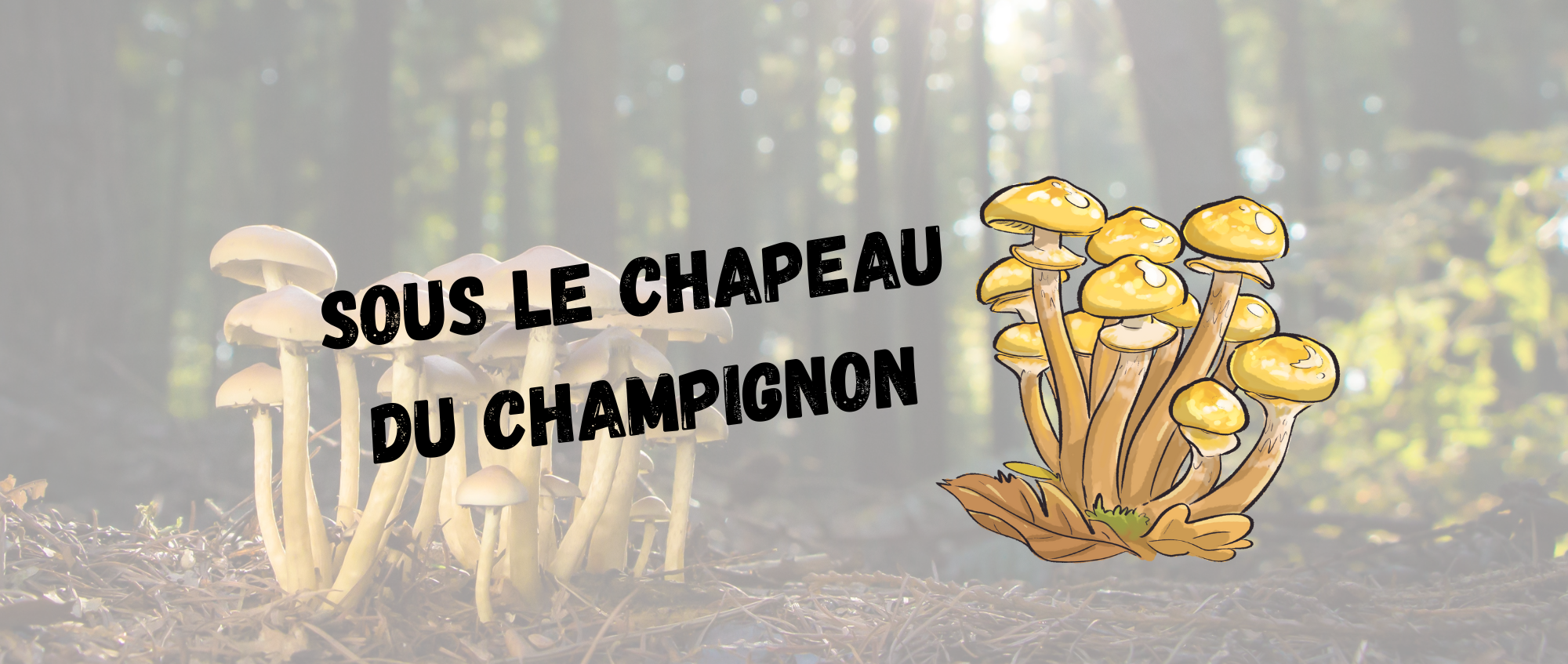 sous le chapeau du champignon