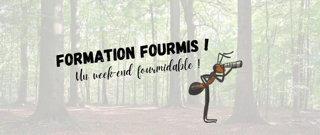 un week-end fourmidable