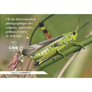 cle-de-determination-photographique-des-criquets-sauterelles-grillons-et-tetrix-de-belgique