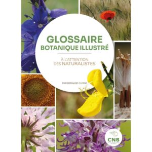 glossaire-botanique-illustre