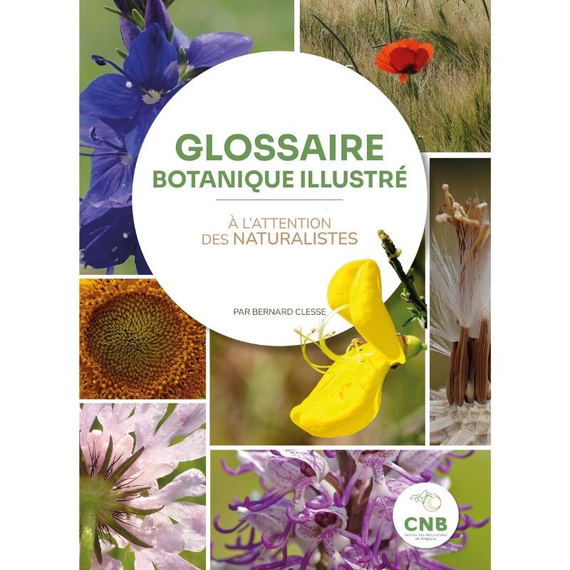 glossaire-botanique-illustre