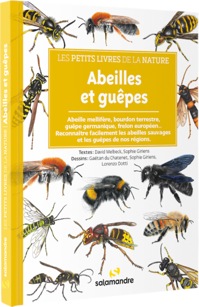 les-petits-livres-de-la-nature-abeilles-et-guêpes_couv