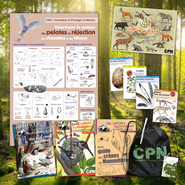 Kit "Traces et indices"
