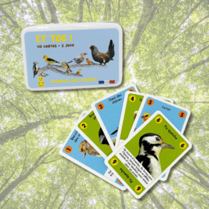 Jeu "Et toc oiseaux des forets"