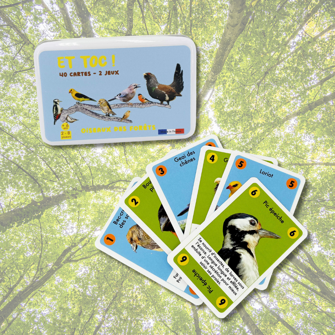 Jeu "Et toc oiseaux des forets"