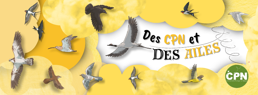 Bandeau site internet Des CPN et des ailes 2026