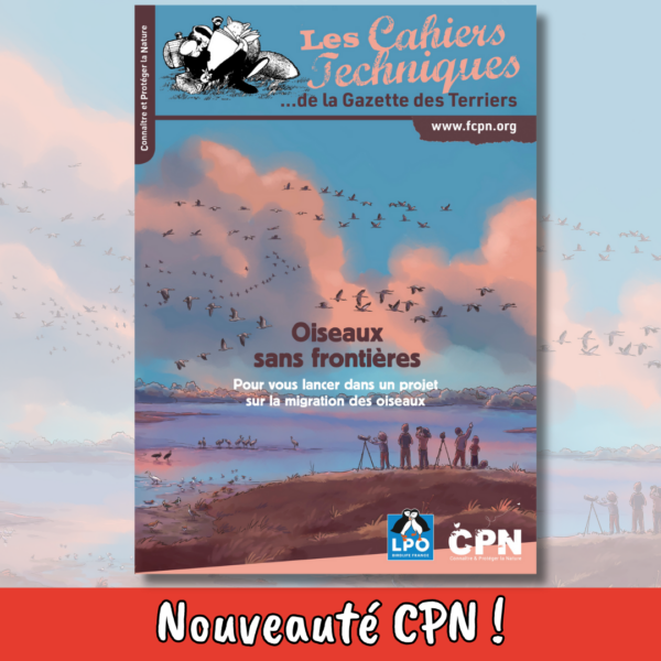 Oiseaux sans frontières