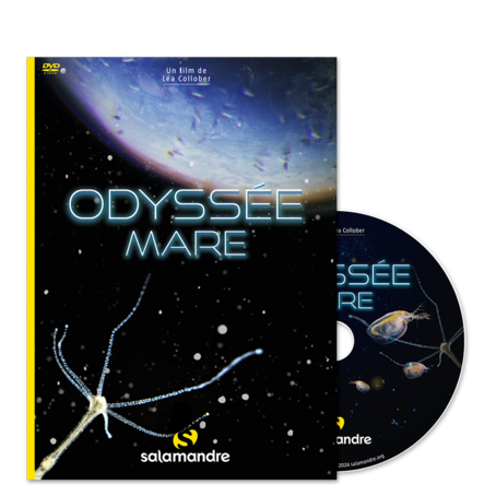 Pochette DVD Odyssée Mare