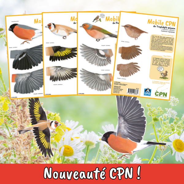 Lot de 4 mobiles "Oiseaux" CPN n°2
