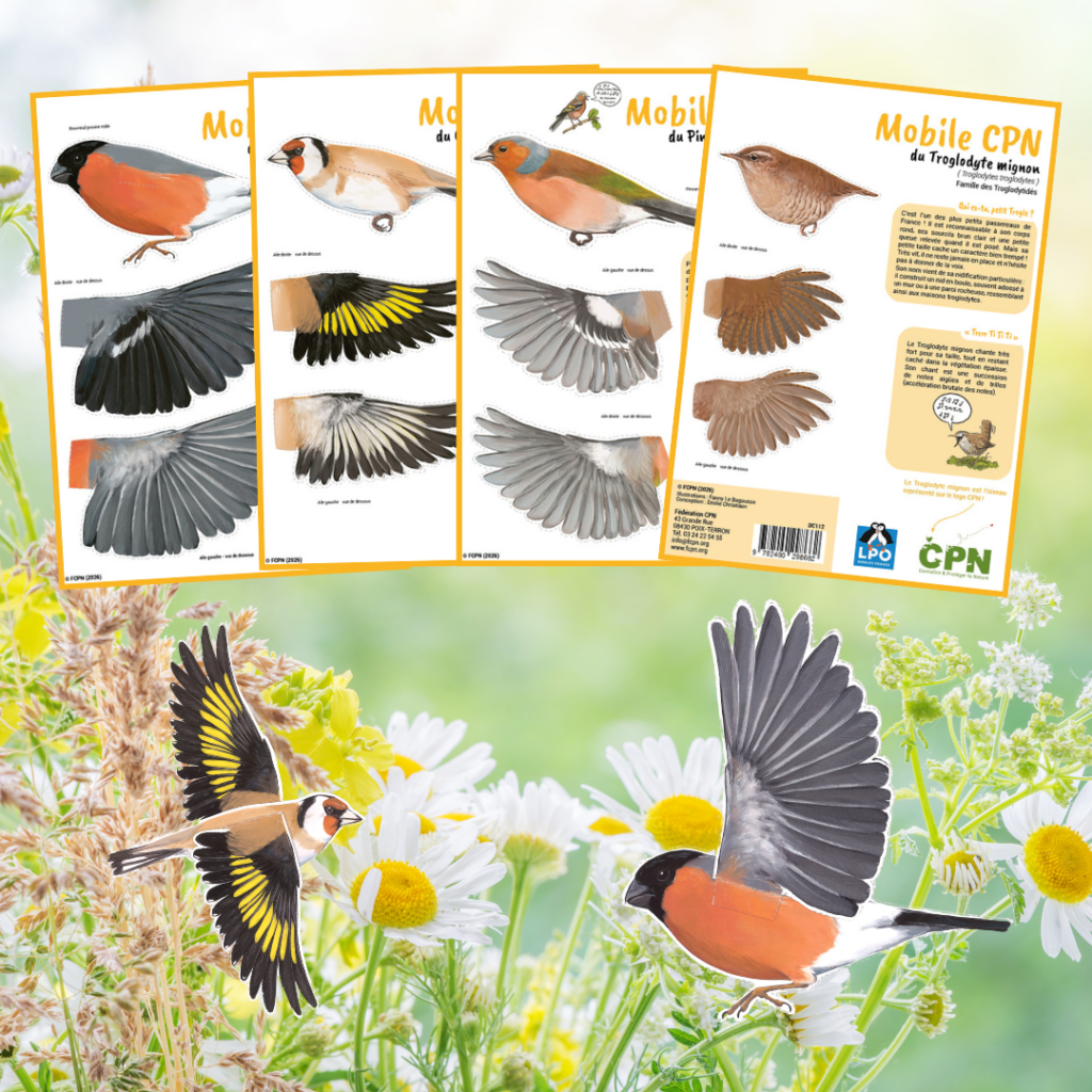 Mobile Oiseaux n°2