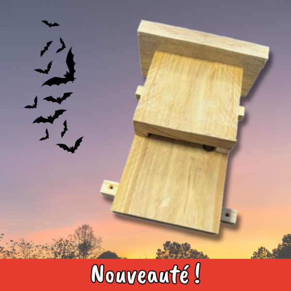 gîte à chauves-souris