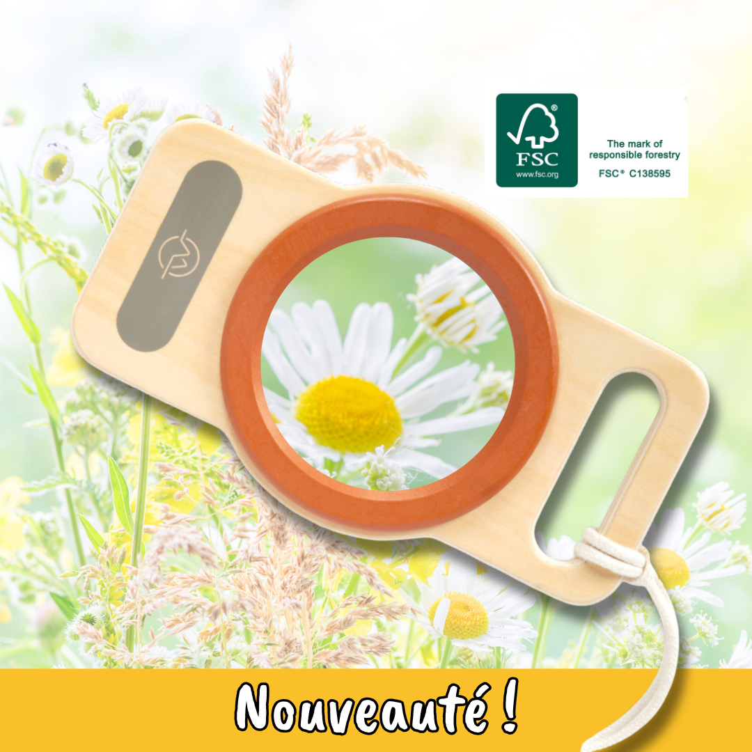 Loupe XXL