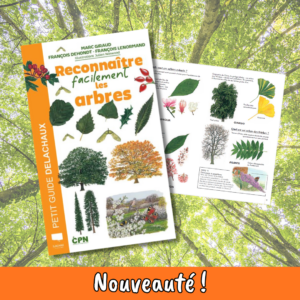 Reconnaître facilement les arbres