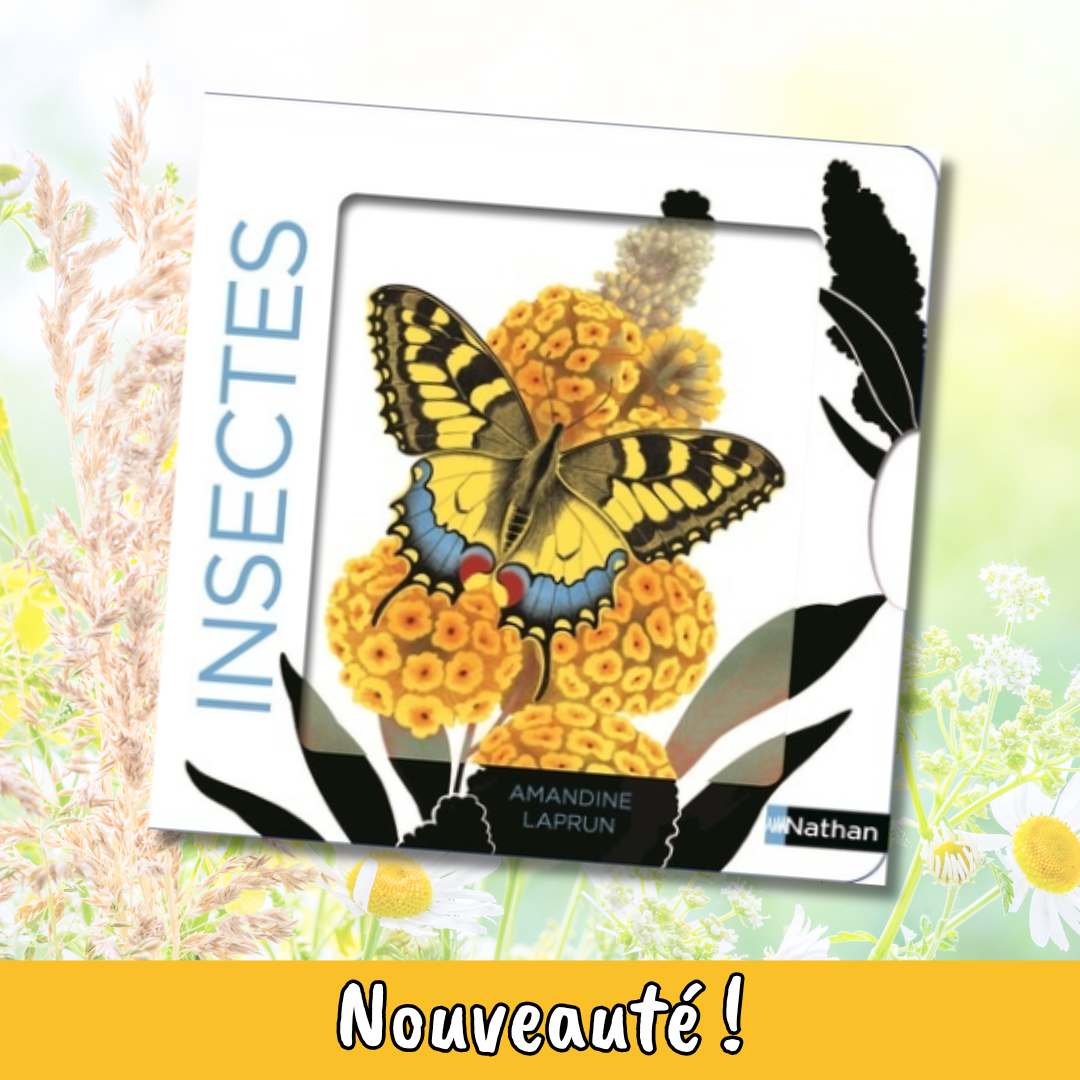 Imagier Insectes
