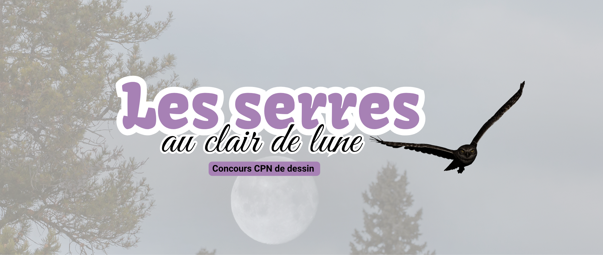 concours de dessin